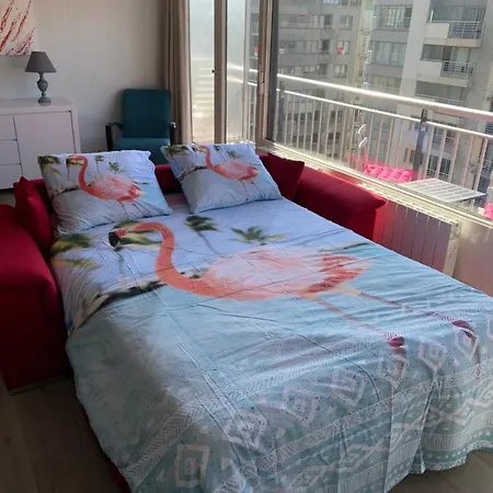 Casa Flamingo * Ostende